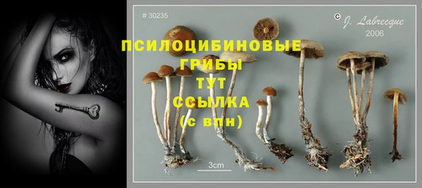 ешки Алзамай