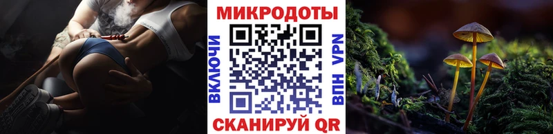 Галлюциногенные грибы Psilocybe купить наркоту нарко площадка официальный сайт Гвардейск